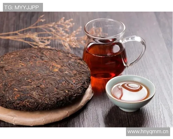 飘逸杯：摩登品味，唤醒生活的美好